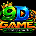 9D Game